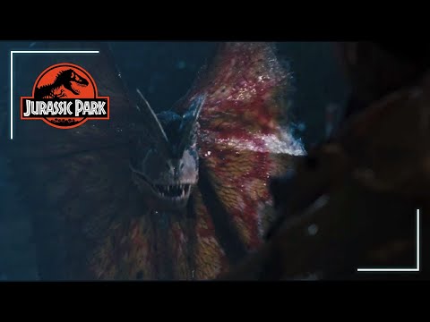 YouTube Preview Image