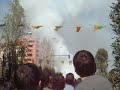 Mascleta  Neus 2008