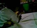 videos de jekjek@9 months