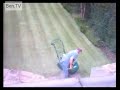Grampa Doing Lawn