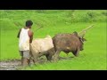Mere Desh Ki Dharti