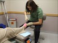 Chicago Podiatric Surgeons