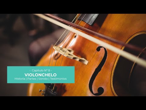 Iniciación Musical | Capítulo 8: Violonchelo