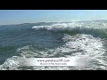 Dolphins Playing and... View Video