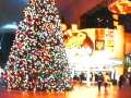 Las Vegas Christmas Light Show