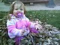 Lindley in the leaves