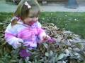 Lindley in the leaves