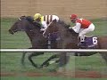 1994 Breeders Cup Turf - Tikkanen