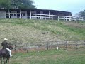 tambor