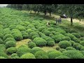 Amazing-Views-of-Aze