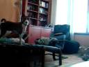Lucy the basenji barking at... nothing.
