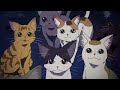 Catgirl Dreams