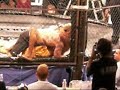 Johan "Rocco" Antonsson in EVT "Rebels" 2006 SWEDEN