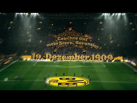BV Ballspiel Verein Borussia Dortmund 1-1 1. FSV F...