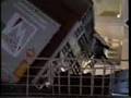 Tiertransportunfall auf Fähre Teil 1