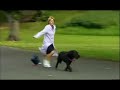 Hidden camera - Dog Minder