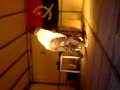 david, andula, nicodemos, valdo, josemar, tixo, junior