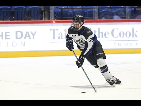 Brett Holman 07 forward Hockey Highlights