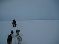 Dog Sledding across a frozen lake