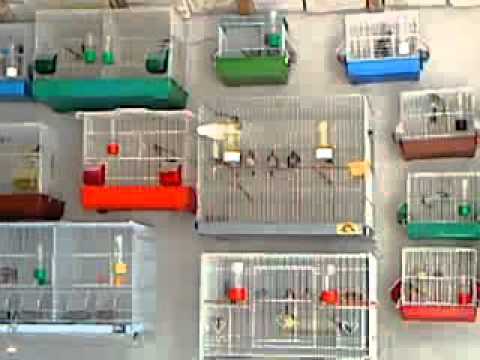 karderines - 