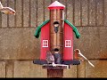Birds of Southern California