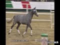 timmy-free-jumping.html
