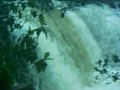 Cachoeira da Martinha (Chapada dos Guimarães)