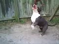 Southern Smoke Bullies Presents 