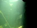 BIg fish