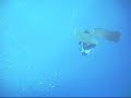 Veljano Zanki  CWT 80m nacionalni freedive rekord