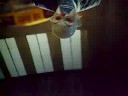 The Dark Knight 5 minutes preview