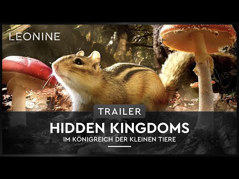 Hidden Kingdoms - Im Königreich der kleinen Tiere - Trailer (deutsch/german)