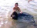 Elvie swimming Elvie swimming
