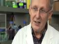 videos de THE BABY FORMULA science teaser