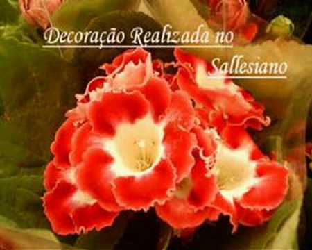 YouTube: Cerimonial E Eventos
