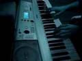 Safri Duo Played A Live (on a PSR E313)