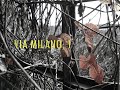 via milano 1 - una contemplazione