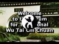 Wu Taijiquan