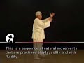 Wu Taijiquan Wu Taijiquan