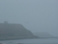 BERWICK UPON TWEED PIER AND BEACH THE VIDEO BERWICK UPON TWEED PIER AND BEACH THE VIDEO