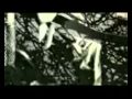 Mando Diao - Nothing Without You