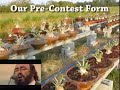 Welcome to Siam Adenium Nursery