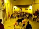 Bou Purisima 08 Bou en corda