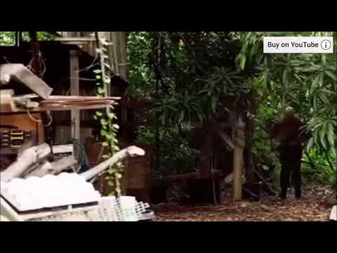 Hawaii Five-0 season 7 episode 22