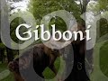 larp   wild beasts aka gibboni