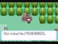 Let's Play Pokemon Ruby [3] Raymond45154