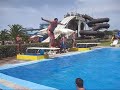 Dive Board Somersault