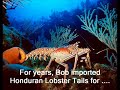 The Wrongful Incarceration of Bob Blandford