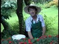 composter les déchets en corse avec fred et jamy, module 2