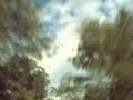 marow - fall